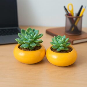 Klayva Mini Ceramic Planter Set – Neutral Duo